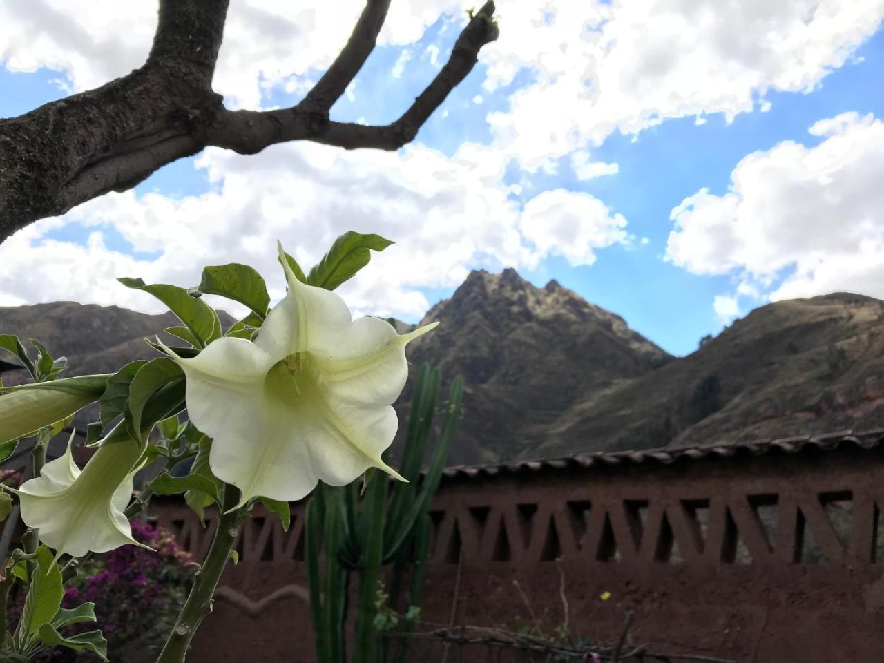 Pisac Inca Guest House Luaran gambar